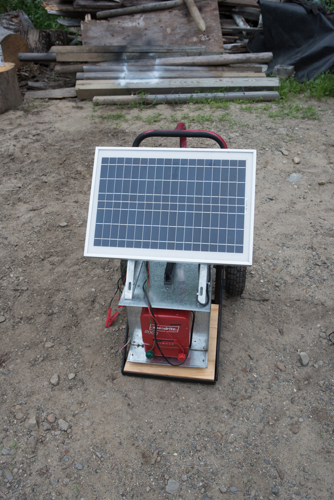 solar energizer dolly-0558